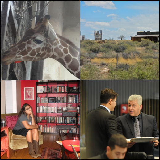 Reference image grid for the sixth video